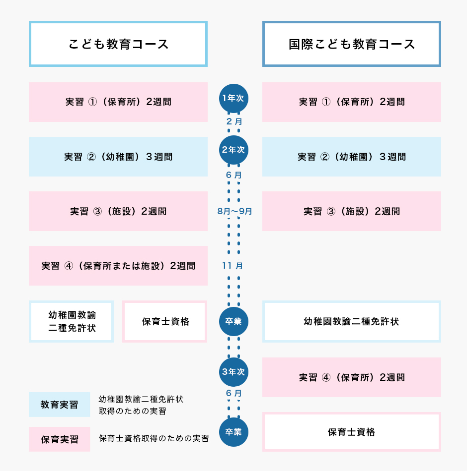 実習と学びのステップ 詳細