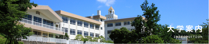 大学案内